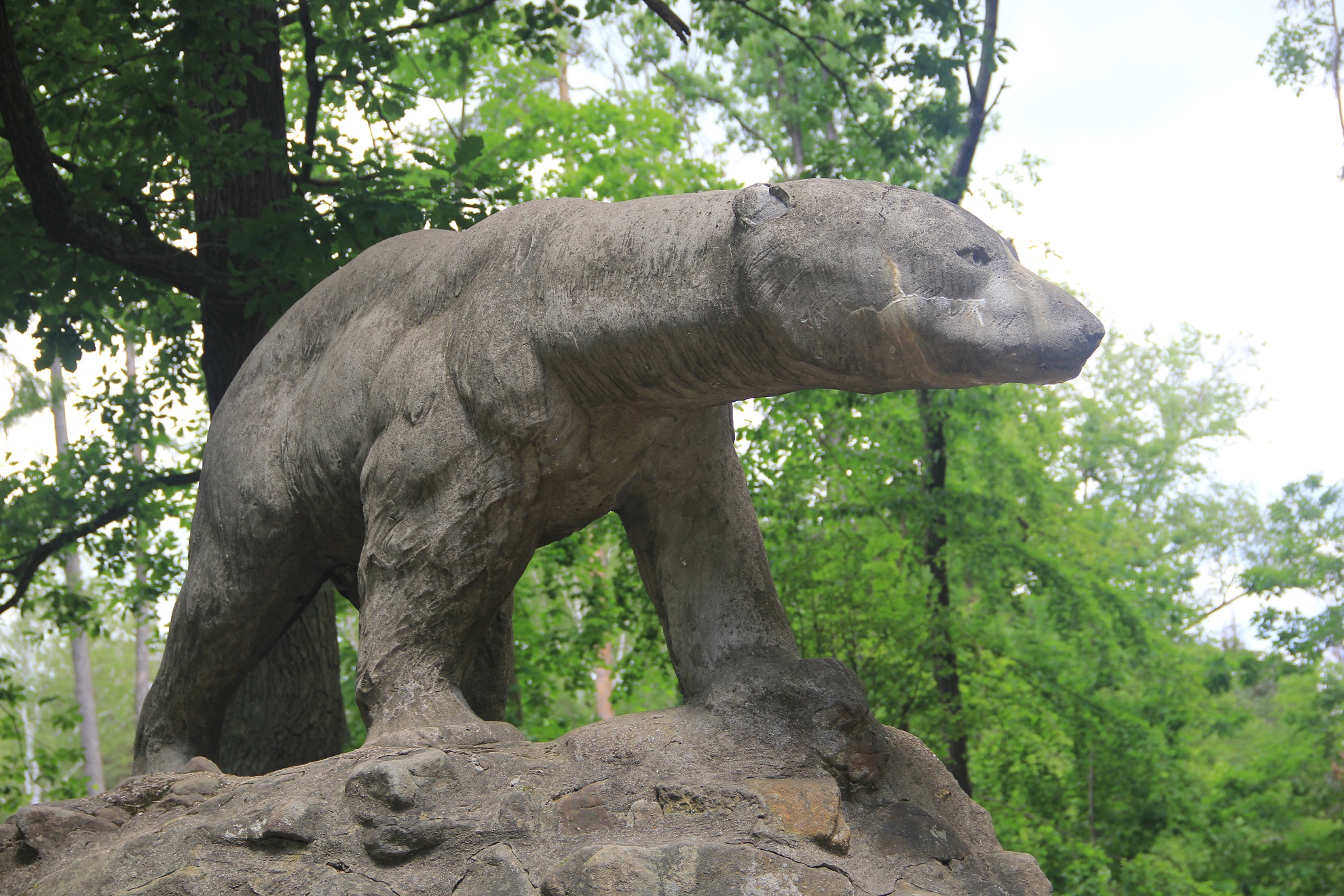 Rzeźba Niedźwiedzia Polarnego (700m)